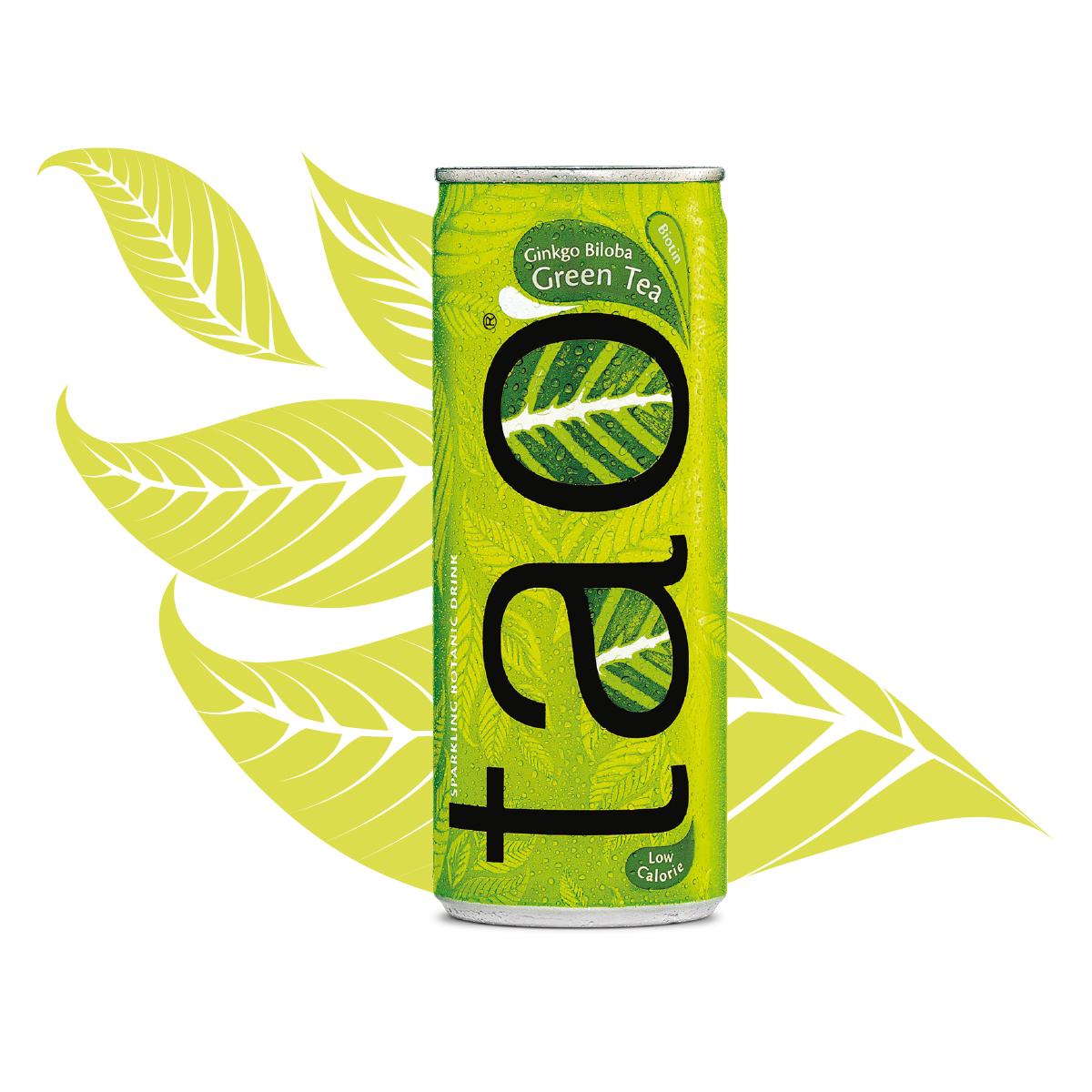 Green tea & Gingko biloba